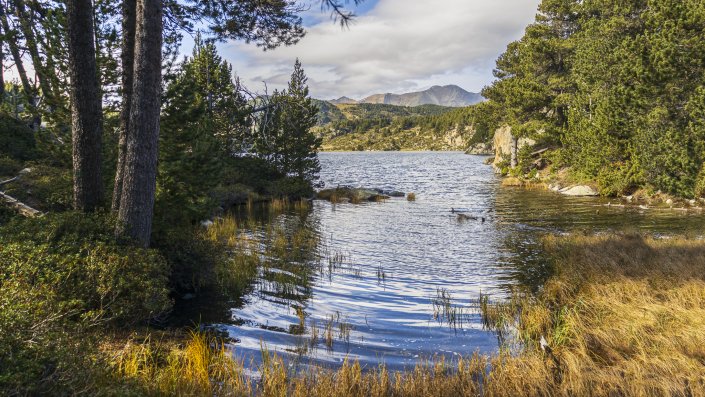 Estany de la Pradella
