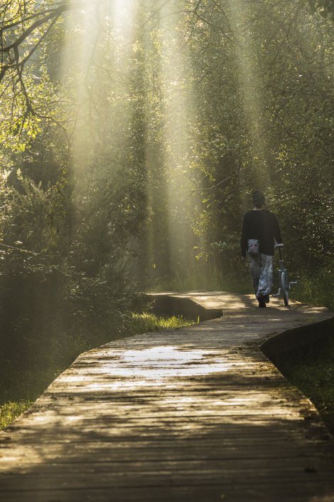 Paseo de la playa de Morouzos