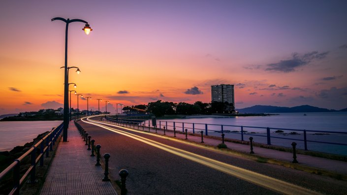 Puente de Toralla. Vigo