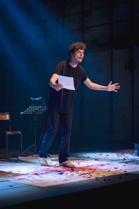 Matthieu Carle au Theatre Dans Les Vignes. Mon Rayaume pour un cheval!
